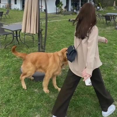 今日份的散步